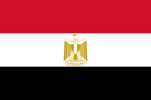 سعر الحديد في مصر اليوم الجمعة 8/3/2019