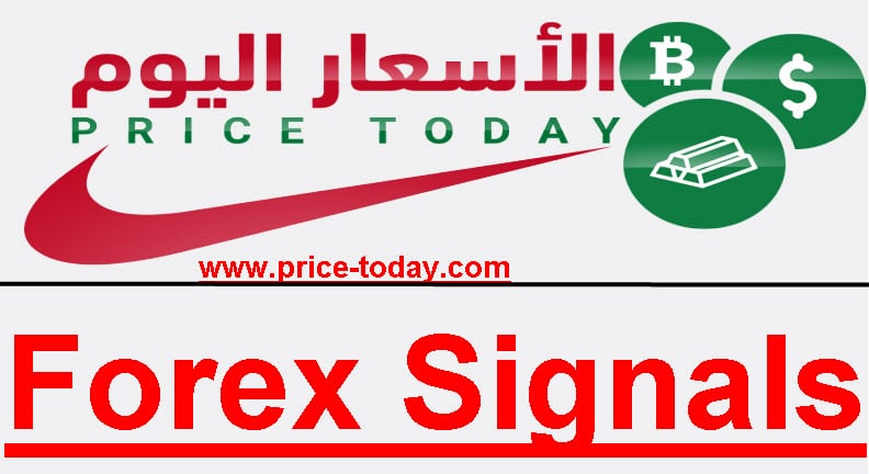 توصيات فوركس