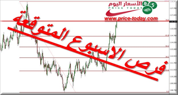 توصيات فوركس