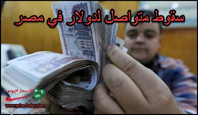 الدولار يواصل السقوط في مصر امام الجنيه المصري