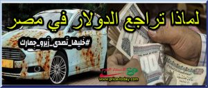هل اسقطت حملة خليها تصدي سعر الدولار في مصر