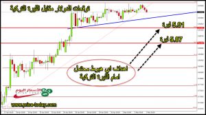 توقعات الدولار في تركيا 2019