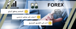 تقييم شركة finmax