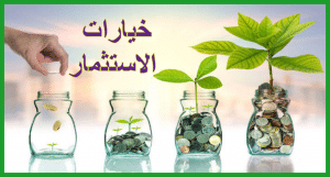 خيارات الاستثمار
