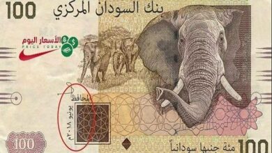 صورة اسعار العملات في السودان الاثنين 2/1/2023