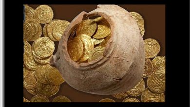 اردوغان يفجر مفاجأه عن الذهب في تركيا