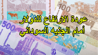 صورة اسعار العملات في السودان الاثنين 27/6/2022