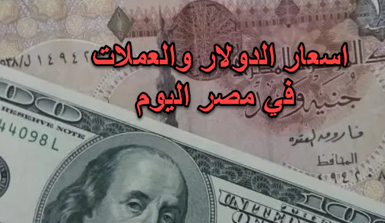 مقابل الجنيه الريال المصري سعر الريال