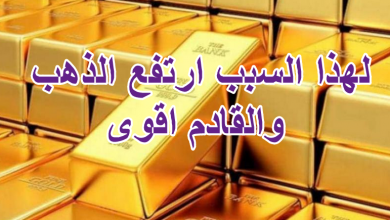 لهذا السبب ارتفع الذهب والقادم اقوى