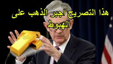 هذا التصريح اجبر الذهب على الهبوط