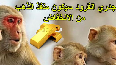 جدري القرود سيكون منقذ الذهب من الانخفاض