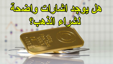 شهية المخاطرة معدومة والذهب يعانق اعلى المستويات