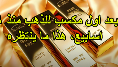 بعد اول مكسب للذهب منذ 6 اسابيع، هذا ما ينتظره