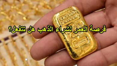 فرصة العمر لشراء الذهب هل تتفعل؟