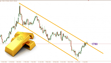 هل الذهب يستعد للارتفاع الكبير؟
