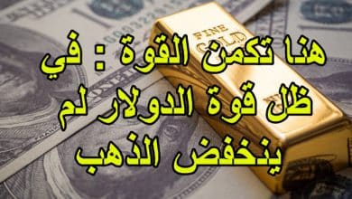 هنا تكمن القوة في ظل قوة الدولار لم ينخفض الذهب